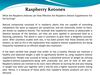 Raspberry Ketones
