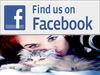 Using Facebook For Business