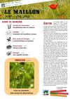 Le Maillon N°30
