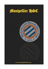 5ºMontpellier HSC