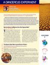 A Dangerous Experiment: Global Warming and Energy Program