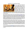Zigi Ny Shoes, The Trendiest Women's Footwear