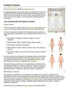 el cuerpo humano