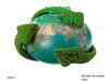 Medio Ambiente -Daniela Fernandez Caro 
