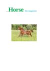 Horse magazine volume 4 (extra long and exciting summer edition)
