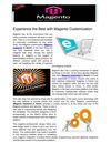 Experience the Best with Magento Customization