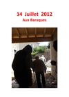 14 juillet 2012, année atypique...