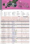 brochure meublés chateau ville vieille 2012/2013