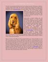 Mans Best Friend