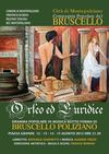 BRUSCELLO POLIZIANO - CATALOGO 2012