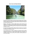 Take a Trip to the Palawan Beaches