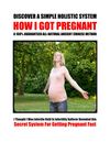 How I Got Pregnant - Ancient Chinese Method