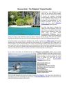 Boracay Island – The Philippines’ Tropical Paradise