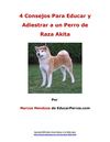 4 Consejos Para Educar y Adiestrar a un Perro de Raza Akita