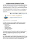 Choosing A Best Web Development Company
