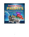 Domain Name Profits