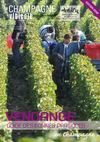 le guide des vendanges 2012 en Champagne
