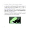 hot jordans shoes - That Symbol Of Comfort, Overall performance And Superiority