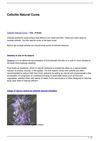 Cellulite Natural Cures