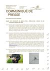 Suivi migration oies cendrées