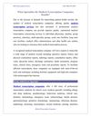 What Specialties Do Medical Transcription Companies Handle?