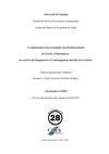 Memoire Master 2