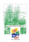 Bois de Céné bulletin n° 51 juillet 2012