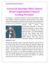 Greenwich Smartlipo Offers Natural Breast Augmentation Using Fat Grafting Procedure