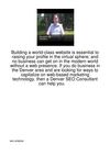 Building-A-World-Class-Website-Is-Essential-To-Rai107