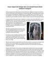 Some important things that you should know about Animal Transport