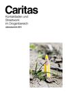 Kontaktladen Jahresbericht 2011
