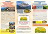 Speciali - Costa delle Mimose