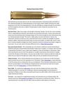 Buying Cheap Ammo Online