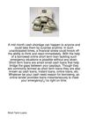 A-Mid-Month-Cash-Shortage-Can-Happen-To-Anyone-And44