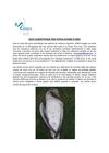 suivi_qualitatif_des_populations_des_oies_final