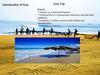 Goa Hotels and Resorts