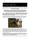 Rabbit Hole Hay Knows the Importance of Location in Growing Farm Fresh Hay for Rabbits