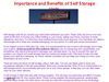 Importance and Benefits of Self Storage Units.pptx