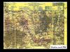 crues et cartes paris seq 1