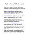 Why Choose Magento Web Development for E-commerce Development