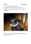 Werkstuk over Honden
