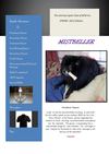 Mistbeller Spring issue 2012