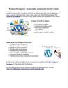 Wordpress Development - Develop highly functional and attractive websites