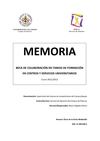 Memoria Personal Beca SDUva