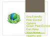Eco Friendly Pest Control Options - Green Pest Control Can Keep Your Home Healthy and Pest Free