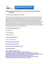 Rubber and Specialty Rubber Markets in China (10 Full Research Reports Collection)