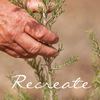 The Spicers ‘Recreate’ Program, in partnership with Landcare Australia 