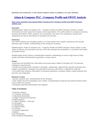 Adam & Company PLC - Company Profile and SWOT Analysis