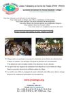 Annonce Camp Chantier