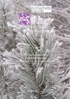 catalogue 11 12